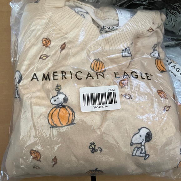 American Eagle Peanuts Snoopy Fall Pumpkin Pajamas - Picture 3 of 3